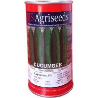 بذر خیار سوپر استار یو اس اگری سید آمریکا 09195284072