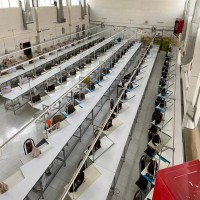 فروش انواع چرخهای خیاطی صنعتی