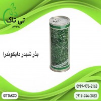 بذر شبدر دایکوندرا 09197443453