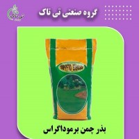 بذر چمن برموداگراس  09197443453