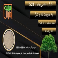 گوگرد پودری معدنی