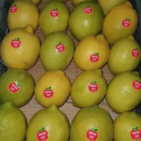 قیمت لیبل میوه صادراتی | برچسب میوه درجه یک 09199762163