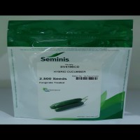 بذر خیار ۴۱۹۶