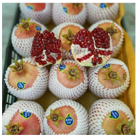 فوم میوه ، فوم توری ضربه گیر09197443453