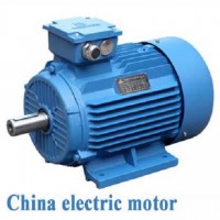 فروش انواع الکتروموتور چینی سه فاز
