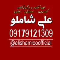 برگزار کننده و تهیه کننده   کنسرت - همایش - جشن در کل کشور