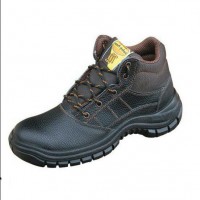 پوتین ایمنی پیروز