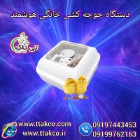قیمت ماشین جوجه کشی مرغ - دستگاه جوجه کشی خانگی تمام اتوماتیک