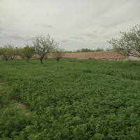 فروش گاوداری تبریز خسروشاه