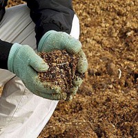 مضرات مصرف بیش از حد کود کبوتر چیست ؟