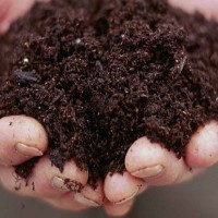 کود کمپوست گیاهی پوسیده بهساز خاک