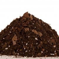 خاک برگ پوسیده جنگلی