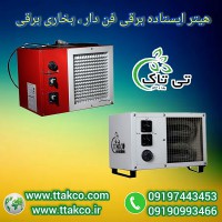 هیتر برقی فن دار تک فاز: خانگی، المنت دار، بدون دودکش 09190993466