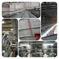 برق کشی و کابل کشی سالن ها و سوله های صنعتی
