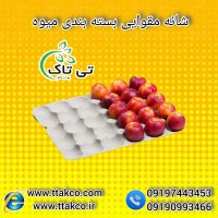 فروش شانه مقوایی | قیمت و خرید شانه مقوایی میوه 09197443453