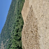 فروش فلورین