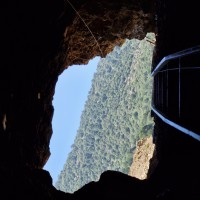 فروش فلورین