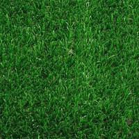 فروش  کیلویی  بذر چمن  عمده پارک و محوطه باغ 09190993466