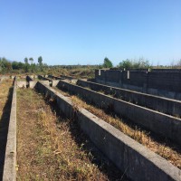 اجاره مزرعه پرورش ماهی خاویاری یا قزل آلا در تالش