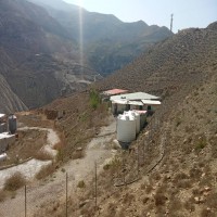 فروش مرغداری تخم گذار