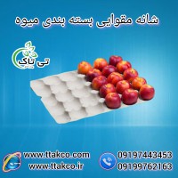 شانه مقوایی میوه | شانه انواع میوه | شانه بسته بندی میوه