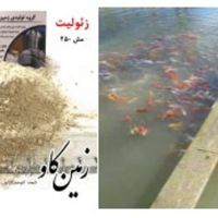زئولیت و تاثیرات آن در استخر پرورش ماهی(Zeolite)