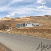 فروش کارگاه تولید قارچ اماده به کار در یاسوج