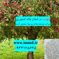 راه حل کاهش شوری خاک