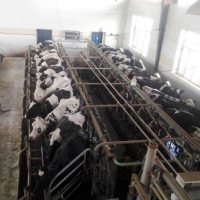 معاوضه و فروش 67 هکتار دامداری در کرج