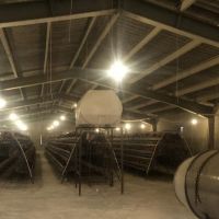 فروش مرغداری در تبریز