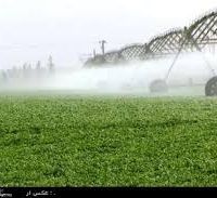 فروش زمین های کشاورزی هکتار بالا