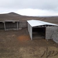 اجاره گاوداری در باغبهادران