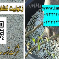 فروش زئولیت در باغبانی