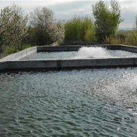 فروش 3000 متر پرورش ماهی در مشگین شهر اردبیل