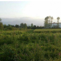 نیاز به سرمایه گذار جهت احداث گلخانه مکانیزه در تنکابن