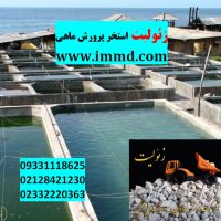 زئولیت کلینوپتیولیت در استخر پرورش ماهی