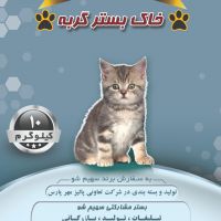 مشارکت در تولید