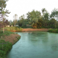 فروش 23450 متر استخر پرورش ماهی و زمین کشاورزی در رشت