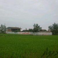 فروش کارگاه 1200متری در آمل