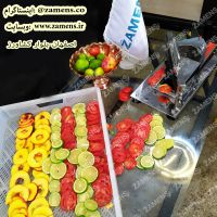 فروش خرد کن میوه