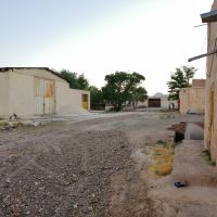 فروش مرغداری 30.000 تایی