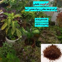 فروش کوکوپیت