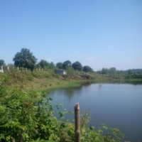 فروش یک هکتار استخر پرورش ماهی در لاهیجان