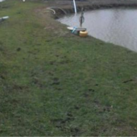 معاوضه یا فروش استخر پرورش ماهی به متراژ 45000 متر در رشت