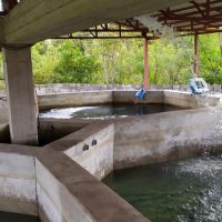 فروش استخر پرورش ماهی در رشت