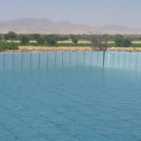 فروش دو هکتار استخر پرورش ماهی و گلخانه در قزوین