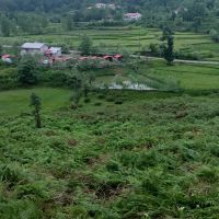 زمین مسکونی در سقالکسار رشت