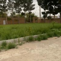 فروش کارخانه خشکبار و بسته بندی در شاهرود