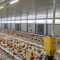 سیستم هوشمندسازی مرغداری صنعتی