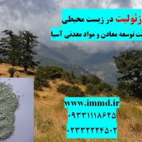 فروش زئولیت در حذف آلاینده های زیست محیطی